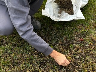 man collects weeded grass in a bag