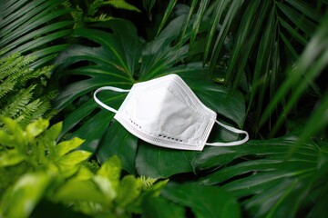White medical mask rests amid lush, vibrant green foliage. Contrasting textures and forms
