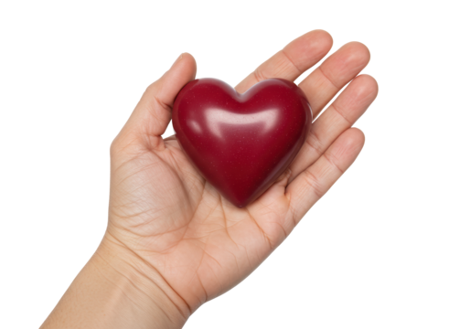 Red heart in hand isolated on transparent background, symbol of love and care