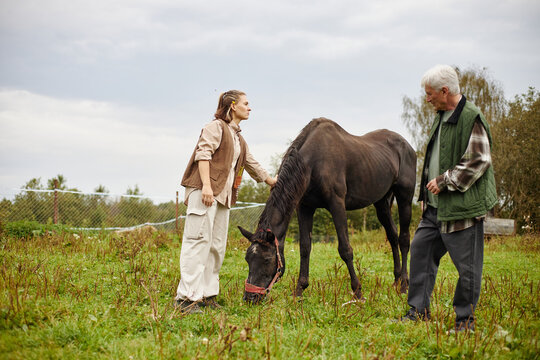 Caucasian young adult woman standing beside grazing horse while middle aged Caucasian man observing in grassy outdoor field, both interacting with animal in rural setting - Powered by Adobe