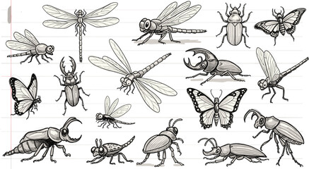 Black and white scientific illustration of beetles, butterflies, dragonflies, and insects on notebook background for biology and design use