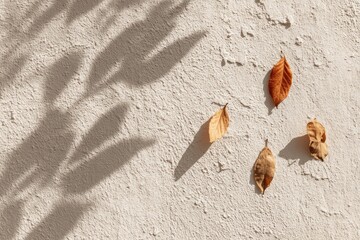 Beige wall with leaf shadows and fallen, colorful autumn leaves. Contrasting textures
