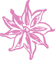 Star anise Christmas 
