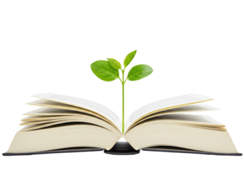 Open book with green plant isolated on transparent background, knowledge and growth concept