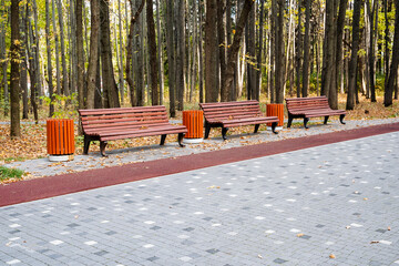 A tranquil park pathway with comfy benches and lush greenery highlights autumns beauty, providing a perfect escape for the community to relax and appreciate the colorful landscape