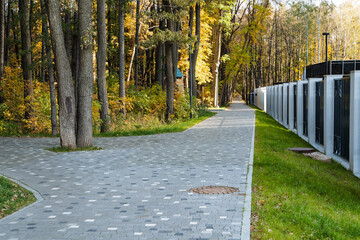 A beautiful scenic pathway winds its way through a lush forest filled with vibrant greenery and features modern pavement that invites exploration, making it perfect for hiking and outdoor recreation