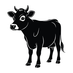 Black cow standing on white background animal livestock
