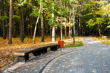 Stroll through a vibrant autumn park, where a rustic bench invites you to pause and enjoy the colorful foliage, crisp air, and serene landscape that showcase the seasons enchanting allure