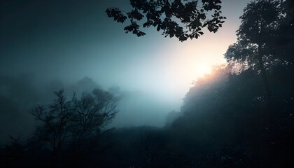 Misty forest at sunrise with sunbeams breaking through the fog and trees.