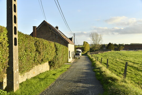 Route de campagne entre haie et prairie &agrave; Ghislenghien (Ath)