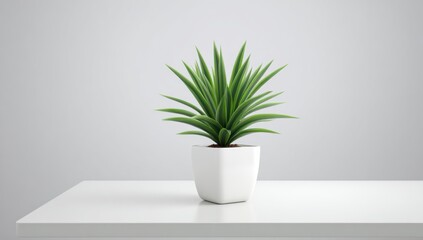 Greenery in a simple white pot on a white surface.