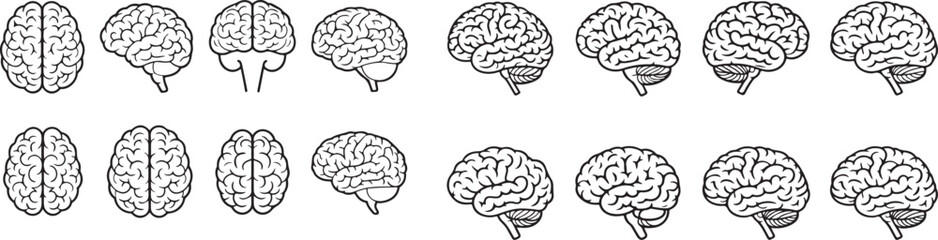 brain icon set outine anatomical human brain side view vector illustrations.Human brain top view line icon set.