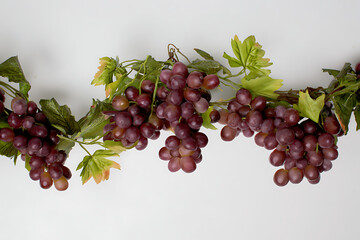 vine, an ripe