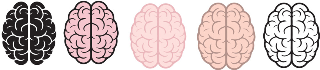 brain icon set anatomy neuro icon isolate white brackground