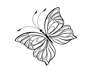 Elegant Butterfly Line Art Illustration Beautiful Insect Design with Intricate Wing Patterns Isolated on White Background Creative Graphic Element