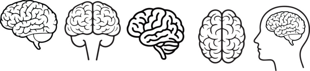brain outline icon set,humain brain icon set neuro icon isolate white brackground