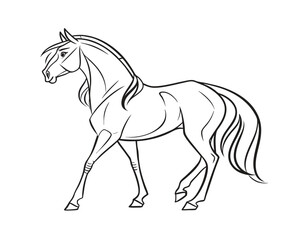 Elegant horse illustration with smooth flowing lines graceful equine beauty in minimalist design for coloring books and artistic projects