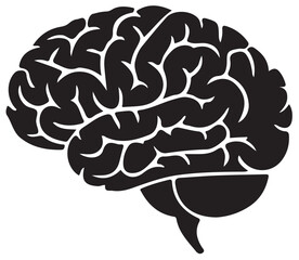 brain icon,black human brain, anatomy neuro head icon isolate white brackground