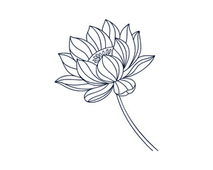 Elegant Lotus Flower Line Art Design for Prints and Creative Projects Single Lotus Flower Outline Illustration Minimalist Aesthetic