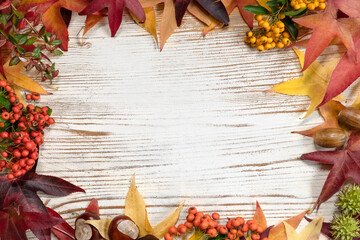 Autumn background with colorful fall leaves, acorns and berries arranged around the edges on rustic...