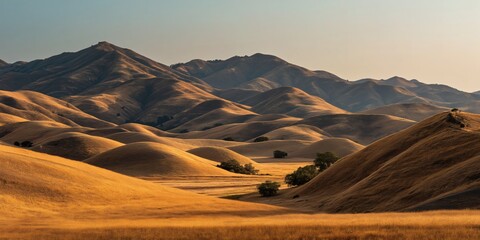 Rolling golden hills under a clear sky evoke a sense of tranquility.