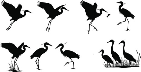 Heron silhouette vector set of eight poses including flying, standing, fishing, and group scene in nature wetland illustration