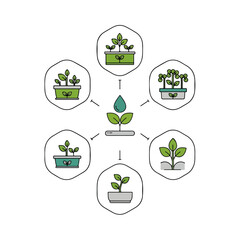 Sprout and Plant Growth Cycle Icons