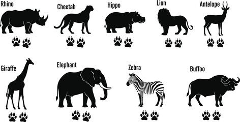 Wild animal silhouettes with labeled paw prints including rhino, cheetah, lion, giraffe, elephant, zebra, buffalo, and hippo © Sihab Creatives