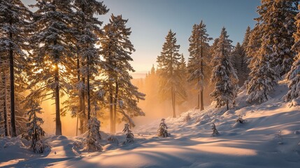 Snow-covered pine forest under golden sunrise, mist floating through trees, serene winter landscape
