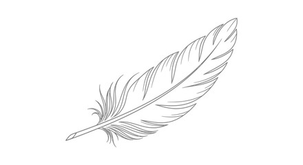 Obraz premium Elegant feather illustration conveys lightness grace and organic beauty with minimalist design style