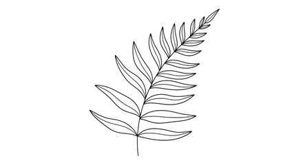 Elegant fern leaf outline, perfect for botanical illustrations and minimalist design projects