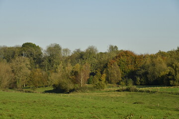 Bois et prairies en automne sous un ciel bleu à Écaussinnes d'Enghien (Soignies)