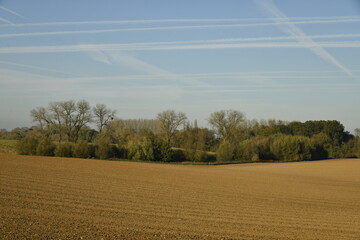 Vaste terrain en terre en fin de journ&eacute;e d'automne &agrave; &Eacute;caussinnes d'Enghien (Soignies)
