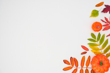 Horizontal autumn banner with a fallen colorful leaves and orange pumpkin on white background with...