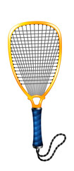 Electric mosquito swatter racket with blue handle