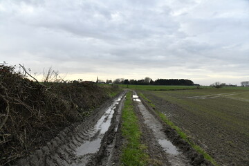 Flaque d'eau dans un chemin boueux après une averse à Écaussinnes d'Enghien (Soignies)