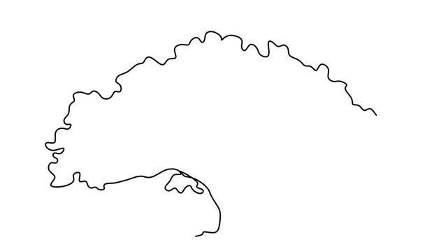 Animated self drawing of continuous line draw tree on white background. Full length one line animation. 4K	