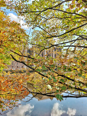 Fototapeta premium A vertical shot of a building in front of a river, hidden behind the yellow autumn leaves of a maple tree