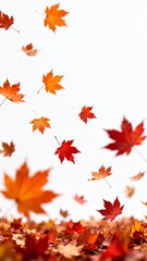 Fototapeta premium Autumn Leaves Falling
