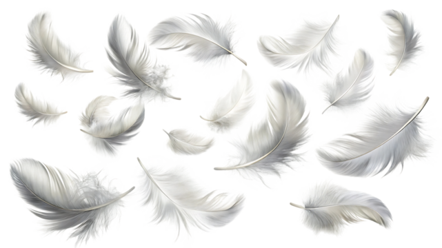 Delicate white feathers floating in the air isolated on transparent background, creating a sense of lightness and ethereal beauty