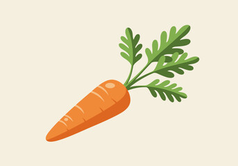 Fresh orange carrot with green leaves healthy vegetable natural food.