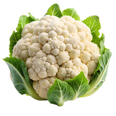 cauliflower isolated on white