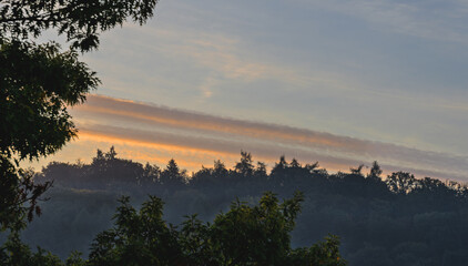 Morgenlicht, Dunst und tiefstehende Sonne über Wald