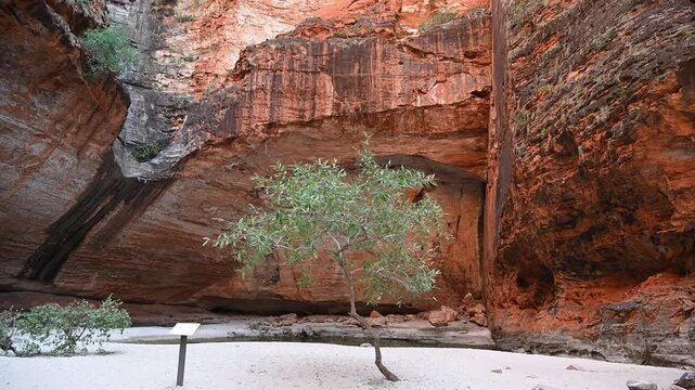 The Purnululu National Park, World Heritage Site in the kimberley region of Western Australia, a popular travel destination famous for its layered rock formations, of the Bungle Bungle Range.