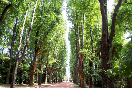 Jardins de Serralves - Porto, Portugal