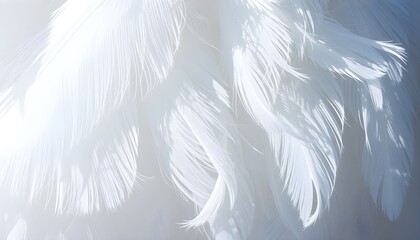 Close-up view of soft, fluffy white feathers, creating a delicate and ethereal texture.