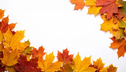 Image of Autumn leaves border with vibrant fall colors isolated on white background