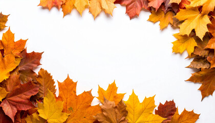 Image of Autumn leaves border with vibrant fall colors isolated on white background