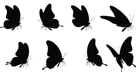 A collection of black silhouette butterflies in varying flight poses