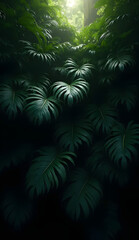 Fototapeta premium A dense cluster of dark green tropical leaves, layered densely to create a sense of depth. The leaves are varying shades of dark green, with a glossy and matte contrast. The sunlight peeks through the